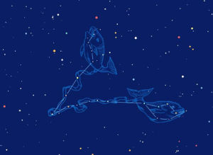 紫微星座 紫微星座