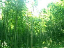 五十家子鎮 五十家子鎮