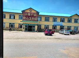 小城子鎮[吉林梨樹縣小城子鎮]