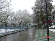 蘭州交通大學鐵道技術學院