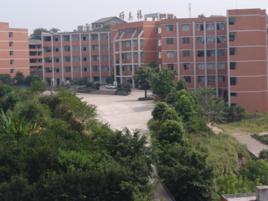 鄰水金鼎實驗學校 鄰水金鼎實驗學校