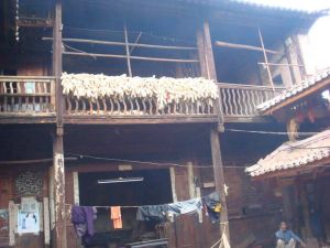 諾鄧十五村 諾鄧十五村