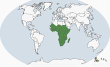 非洲鸚鵡族分布圖