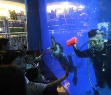 “健康的海洋·健康的地球”世界海洋日