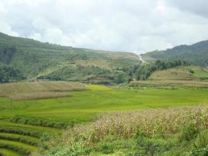 華家坡自然村 華家坡自然村