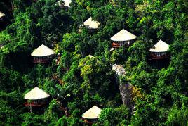 亞龍灣人間天堂鳥巢度假村 亞龍灣人間天堂鳥巢度假村