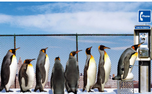 排隊焦慮症 排隊焦慮症