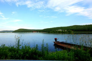 鐵西森林公園 鐵西森林公園