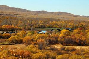 太平老村 太平老村