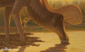 蘭博龍亞科 蘭博龍亞科