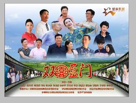 雙喜盈門[2016年韓兆執導電視劇]