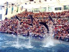 廣州海洋館劇照