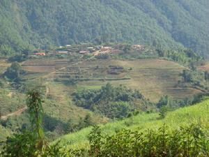 永公松自然村 永公松自然村