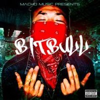 Bitbull專輯封面。