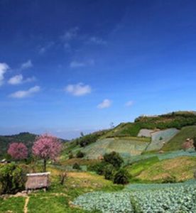 碧差汶府 碧差汶府