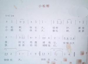 小松樹 小松樹