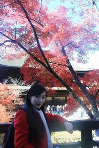 張宇晴[世博山東館形象大使]