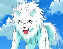 泰利·克洛斯 泰利·克洛斯