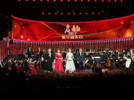 啟航2017——中央電視台新年音樂會
