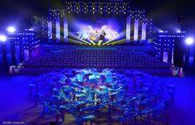 2014河北省殘運會開幕式2