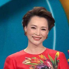 董卿口紅 董卿口紅