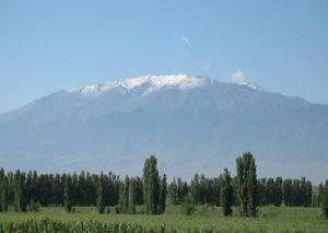 柴達木梭梭林自然保護區 柴達木梭梭林自然保護區