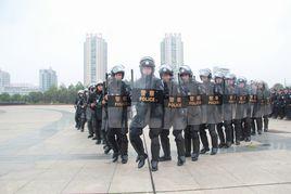 豐城市公安局 豐城市公安局