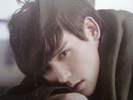 讓我愛她 讓我愛她