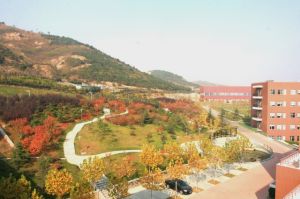 青島生物能源與過程研究所