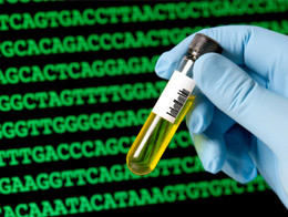 觸摸DNA 技術 觸摸DNA 技術