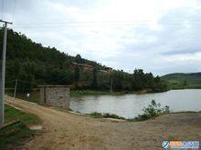 拖姑村[雲南省昭通市魯甸縣桃源回族鄉下轄村]