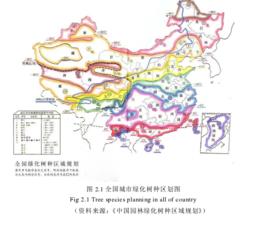 植物景觀 植物景觀