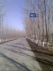 大店子一村 大店子一村