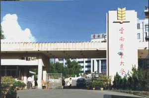 雲南農業大學