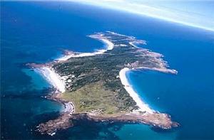 天鵝群島 天鵝群島