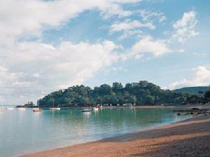 洛奇灣、懷赫科島