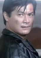 龍騰四海[1992年霍耀良執導的動作片]