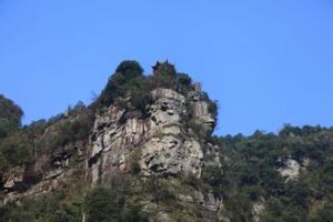 五馬朝天 五馬朝天