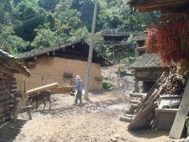 付合寨村 付合寨村