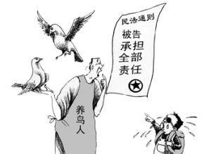 責任自負原則 責任自負原則