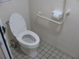 和式廁所 和式廁所