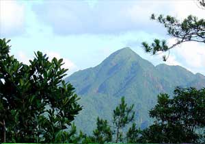 龍川七目嶂 龍川七目嶂