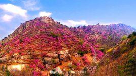 珠山[青島珠山]