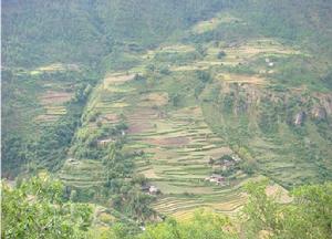 嘎沙落自然村 嘎沙落自然村