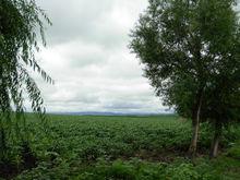 黑龍江省林口縣古城鎮