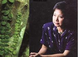 我交給你們一個孩子 我交給你們一個孩子