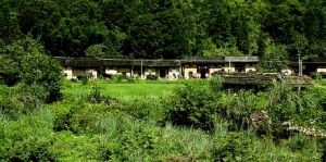 湘洲景區 湘洲景區