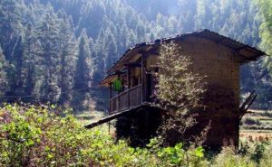 國寶雲龍谷 國寶雲龍谷