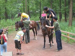 （圖）東平公園