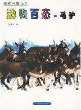 《動物百態&middot;驢》